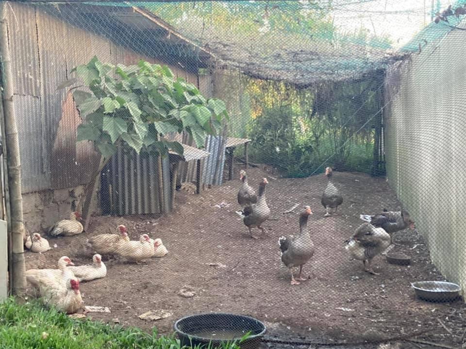 Ataalaya Farmhouse Batangas City Kültér fotó